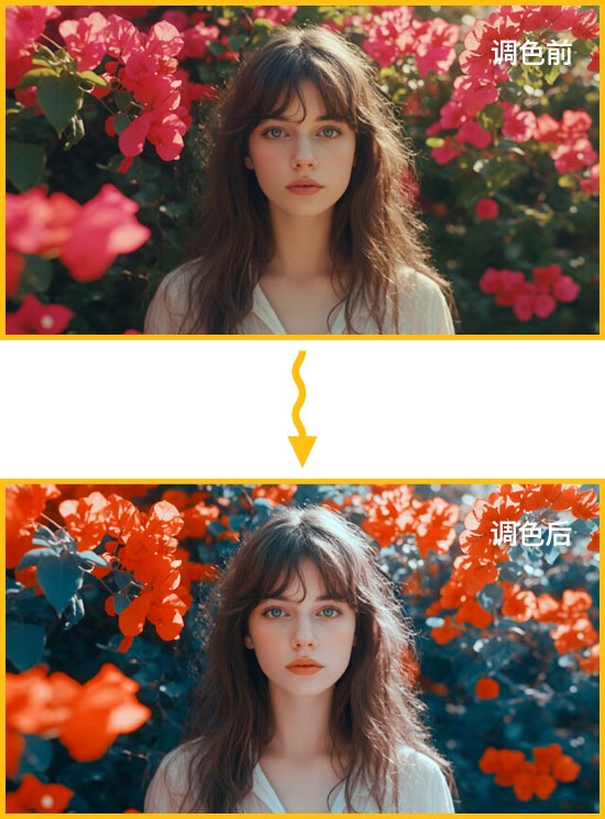 02.jpg